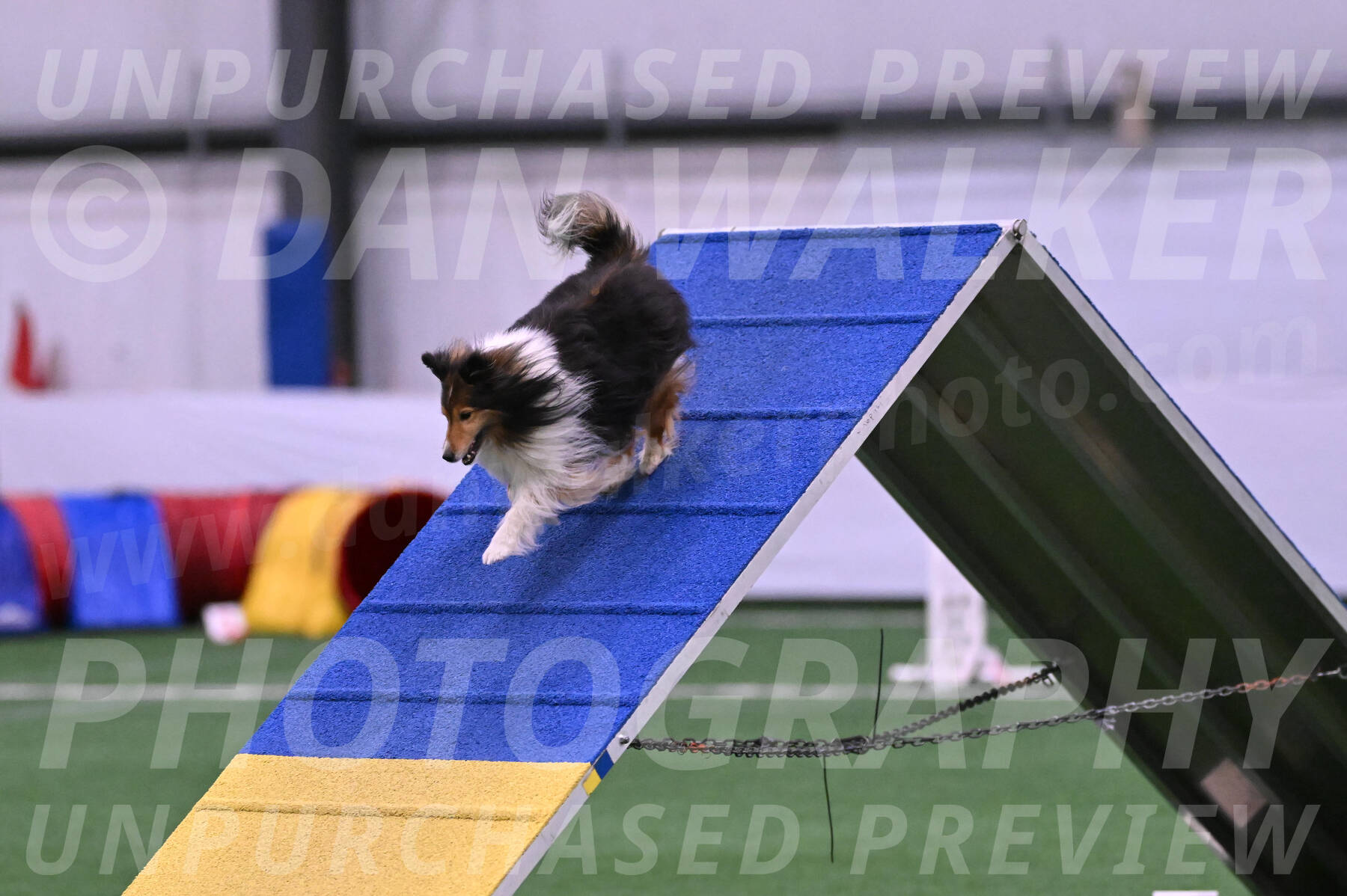 Bolt-Julie-Dunn-09290