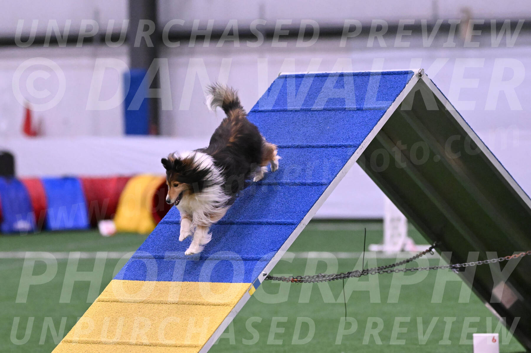 Bolt-Julie-Dunn-09291