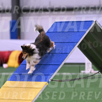 Bolt-Julie-Dunn-09291