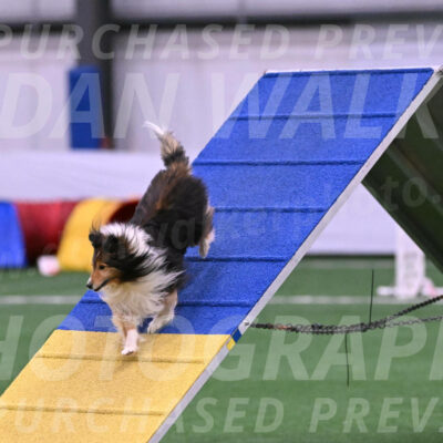 Bolt-Julie-Dunn-09292