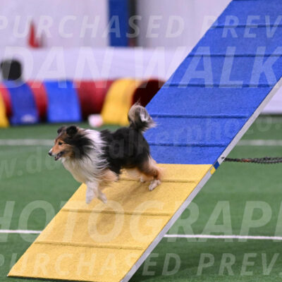 Bolt-Julie-Dunn-09294