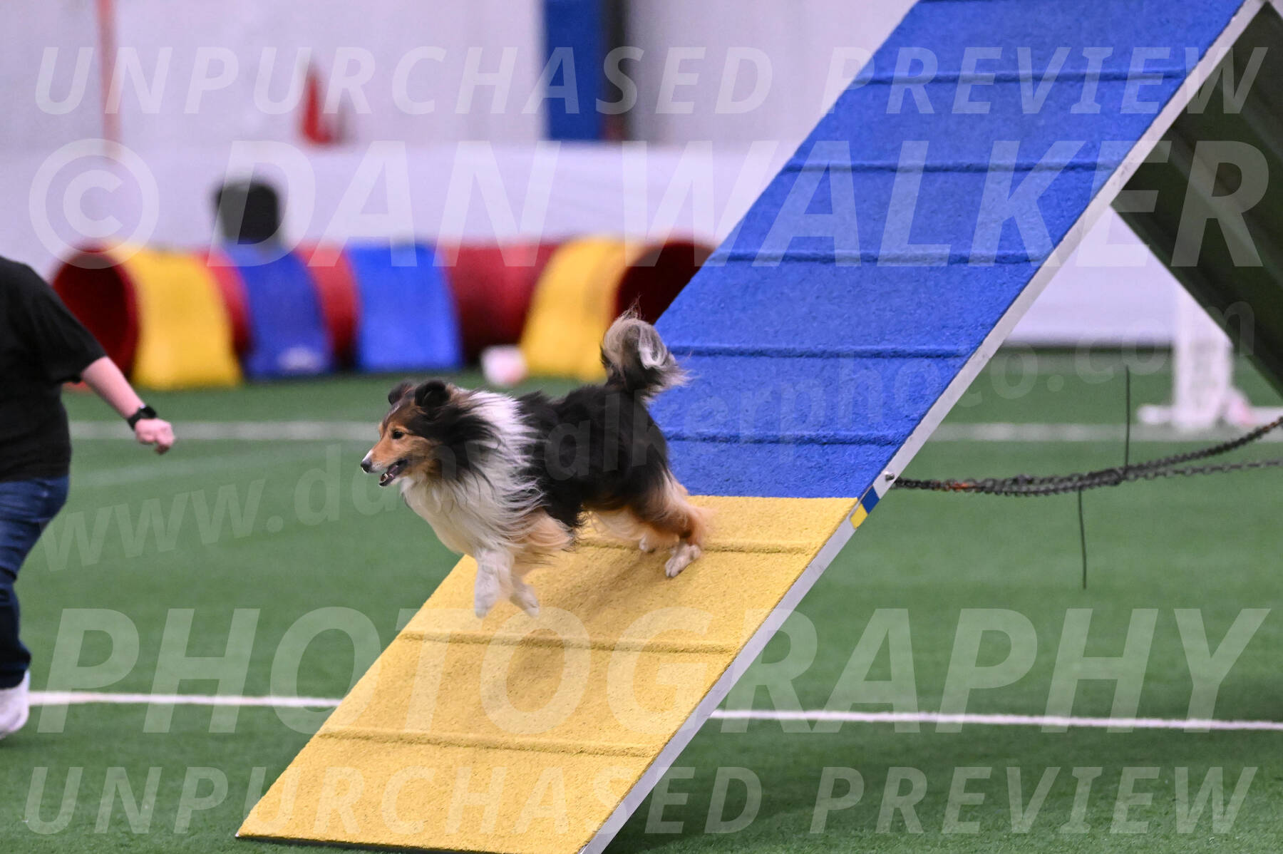 Bolt-Julie-Dunn-09294