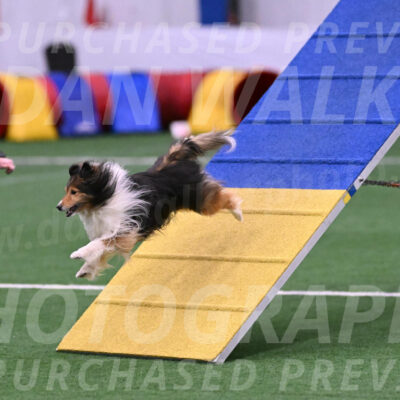 Bolt-Julie-Dunn-09295