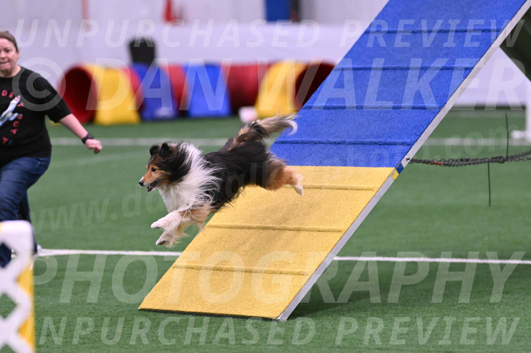 Bolt-Julie-Dunn-09295