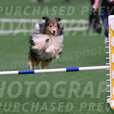 Bolt-Julie-Dunn-09297