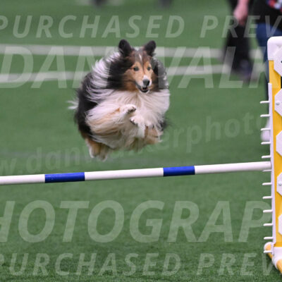 Bolt-Julie-Dunn-09298
