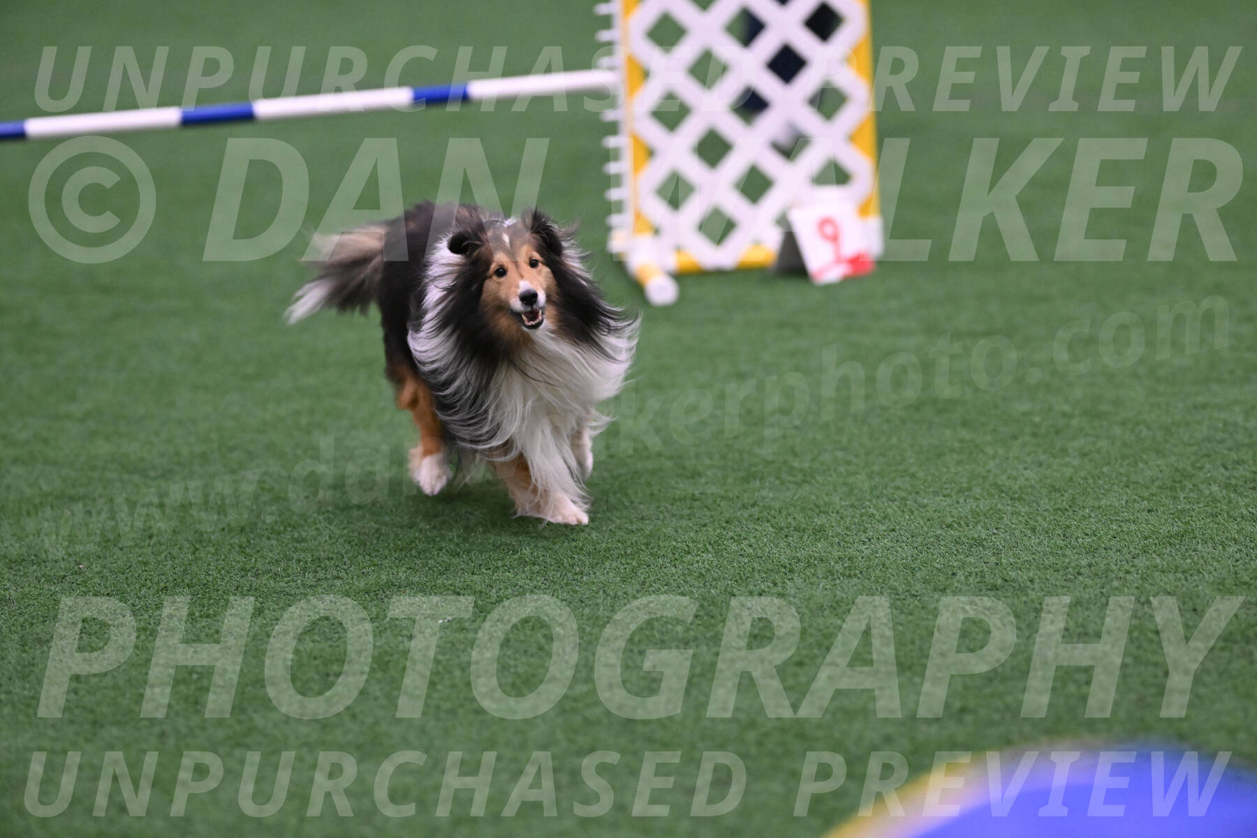 Bolt-Julie-Dunn-09299