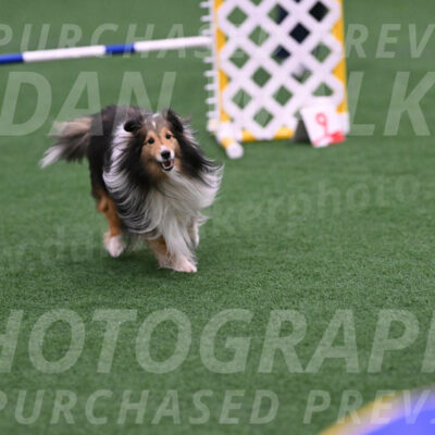 Bolt-Julie-Dunn-09299