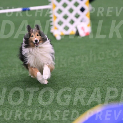 Bolt-Julie-Dunn-09301