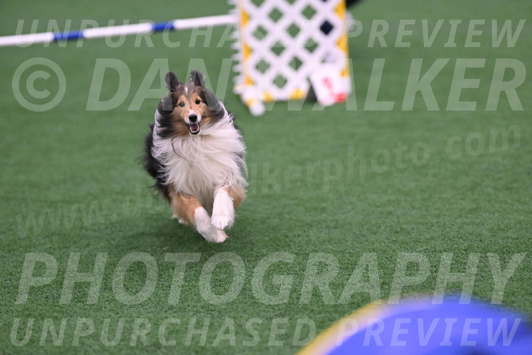 Bolt-Julie-Dunn-09301
