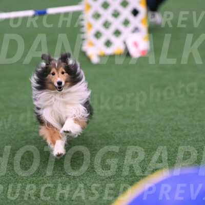 Bolt-Julie-Dunn-09302