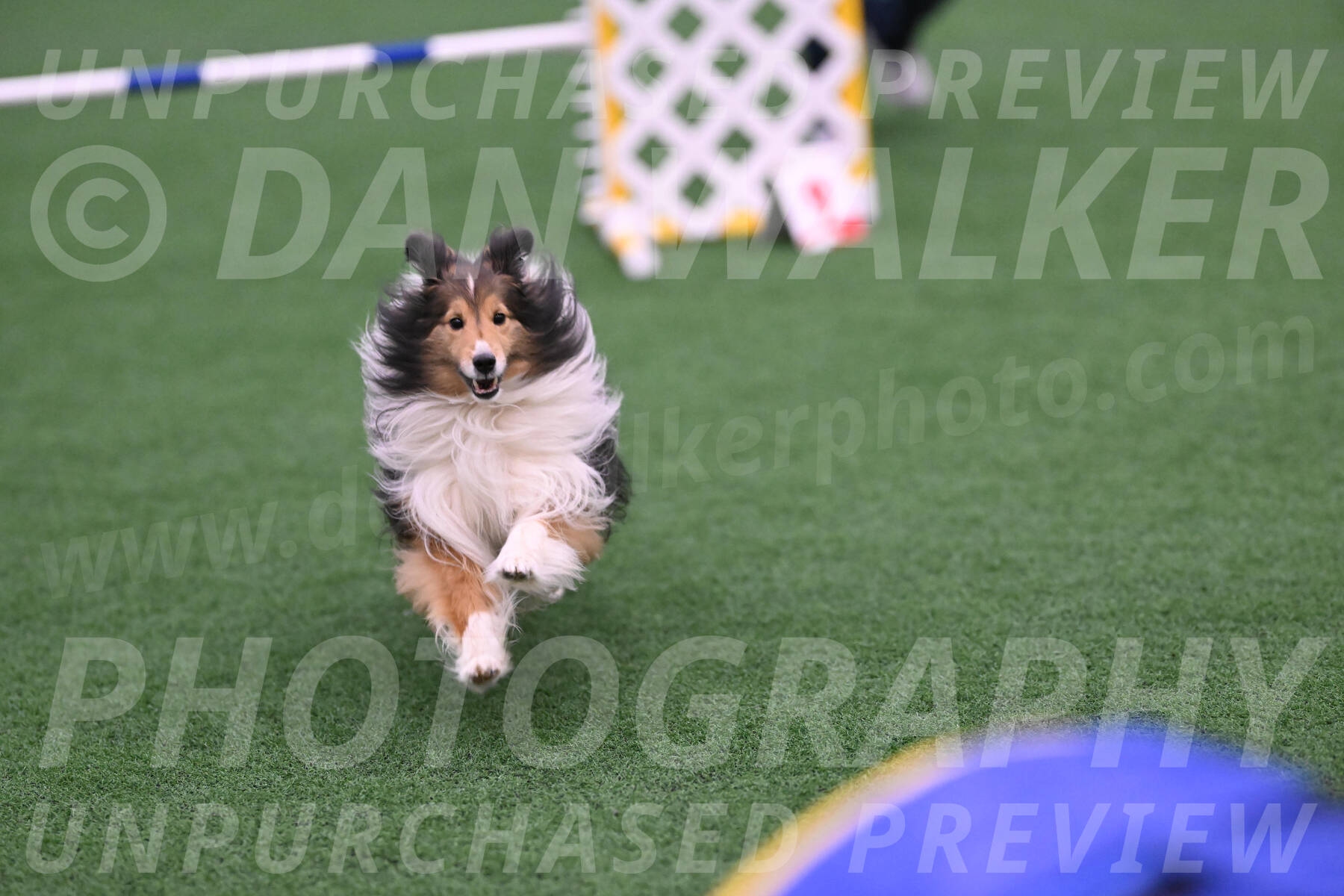Bolt-Julie-Dunn-09302