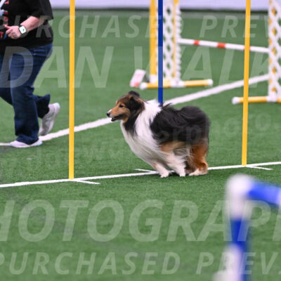 Bolt-Julie-Dunn-09318