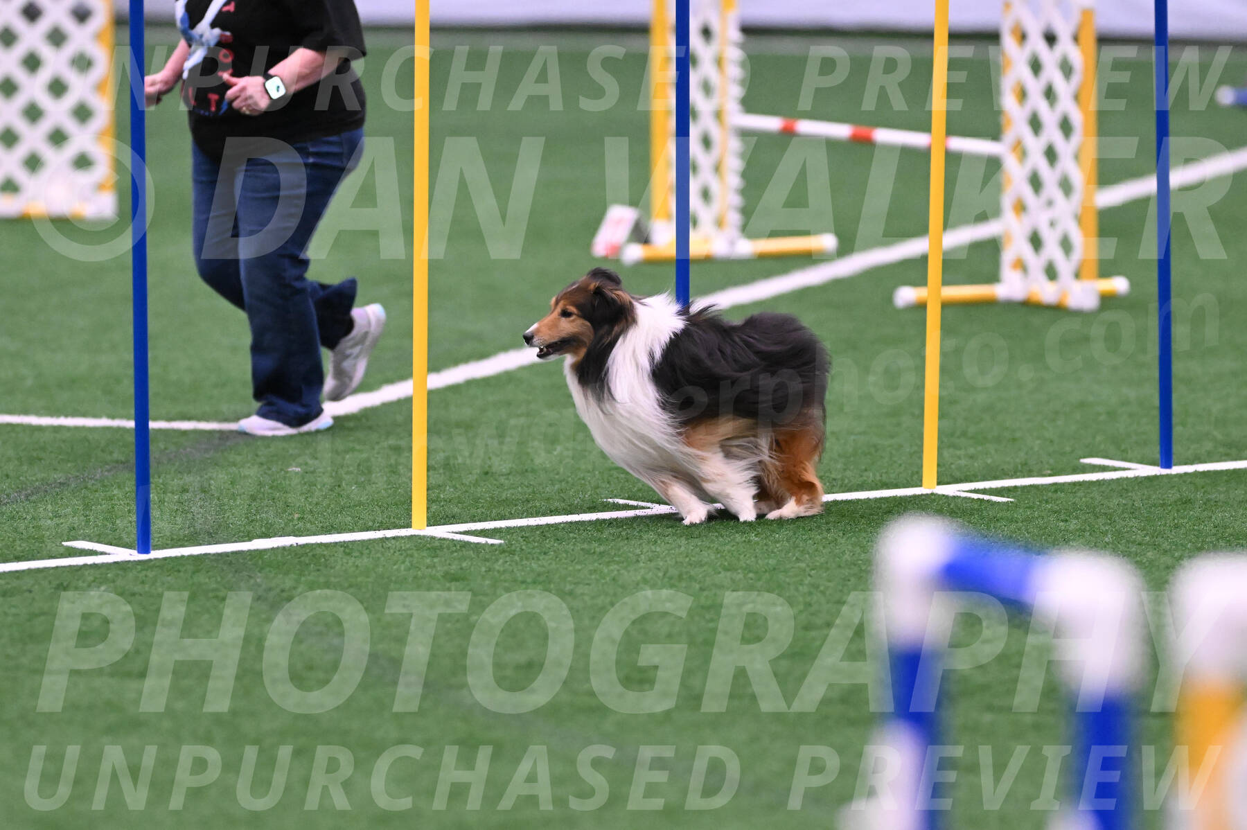 Bolt-Julie-Dunn-09318