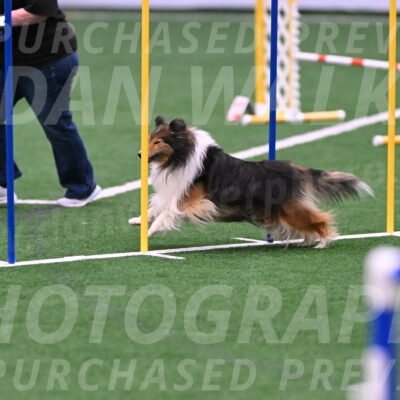 Bolt-Julie-Dunn-09319