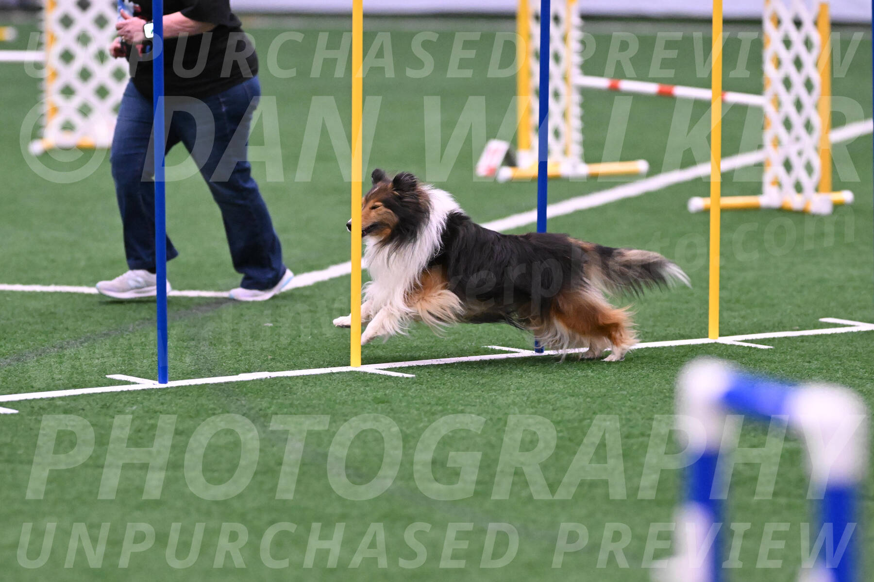 Bolt-Julie-Dunn-09319