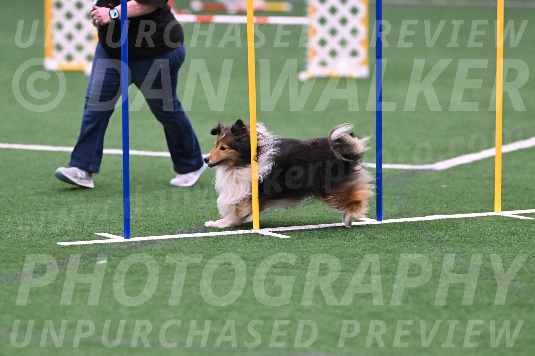 Bolt-Julie-Dunn-09326