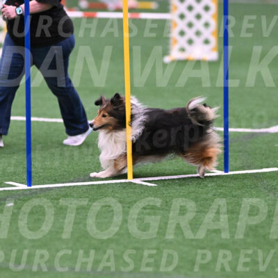 Bolt-Julie-Dunn-09326