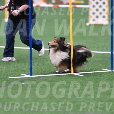Bolt-Julie-Dunn-09327