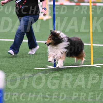Bolt-Julie-Dunn-09330