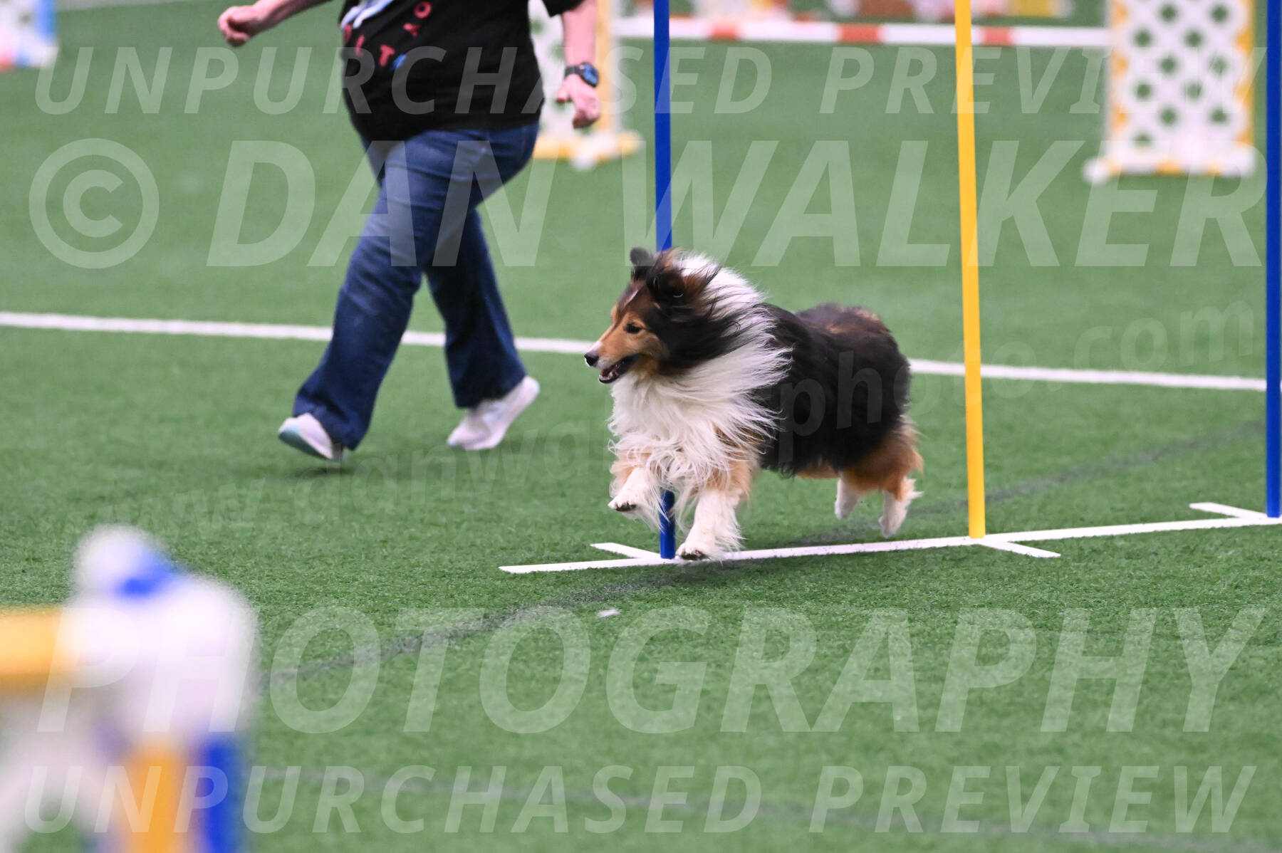 Bolt-Julie-Dunn-09330