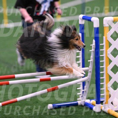 Bolt-Julie-Dunn-09339