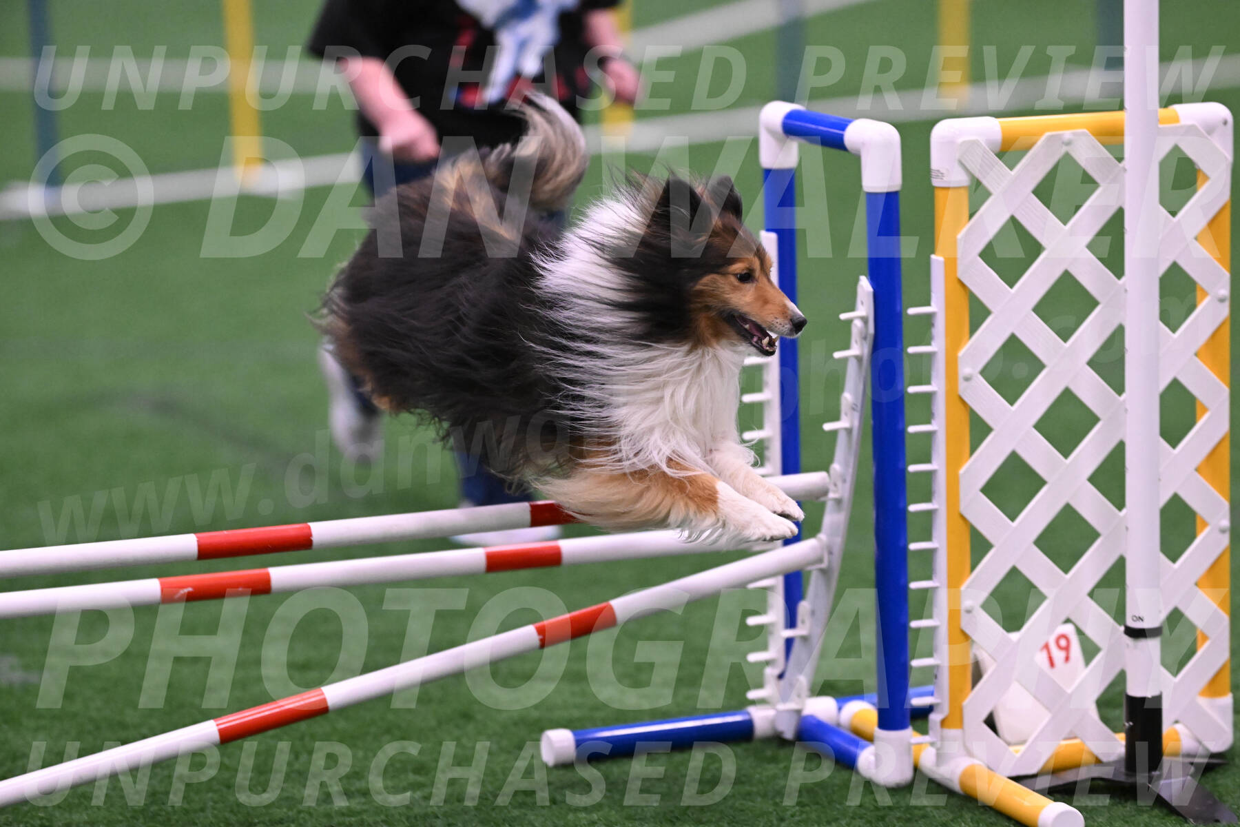 Bolt-Julie-Dunn-09339