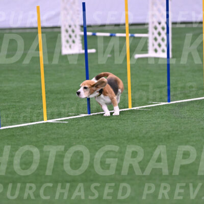 Bridger-Ursula-Lehman-04816
