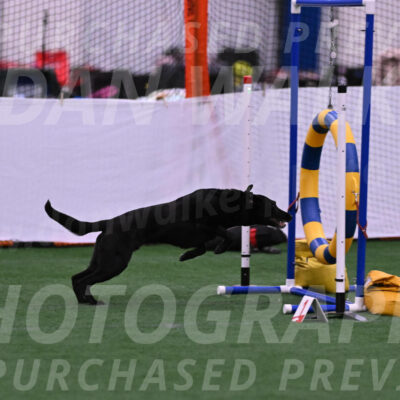 Brooks-Nicole-Paloney-29306