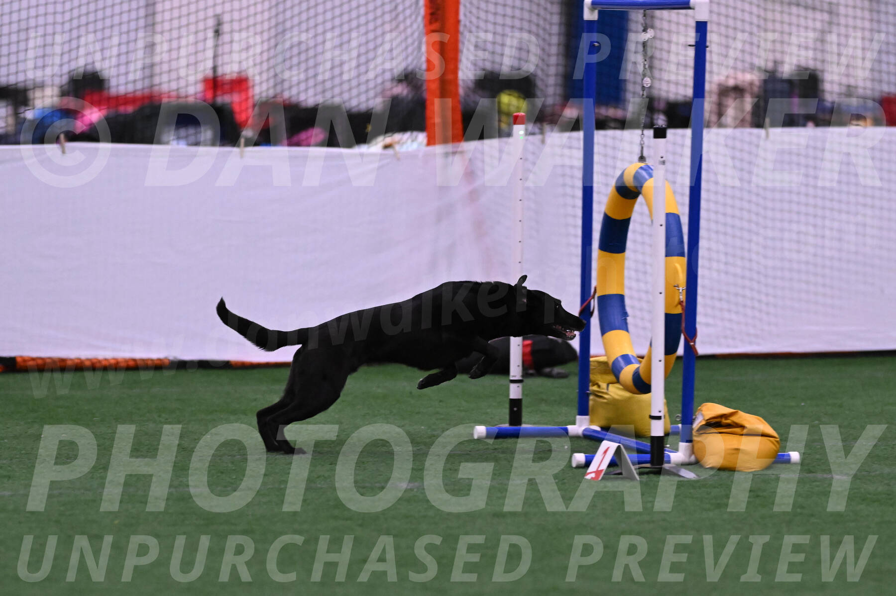 Brooks-Nicole-Paloney-29306