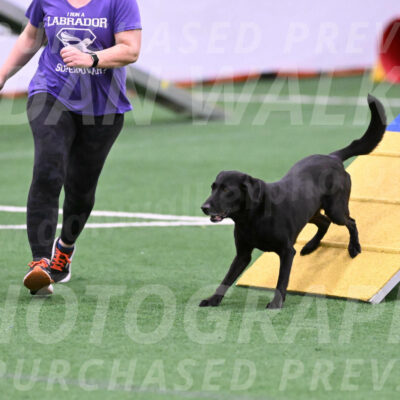 Brooks-Nicole-Paloney-29310