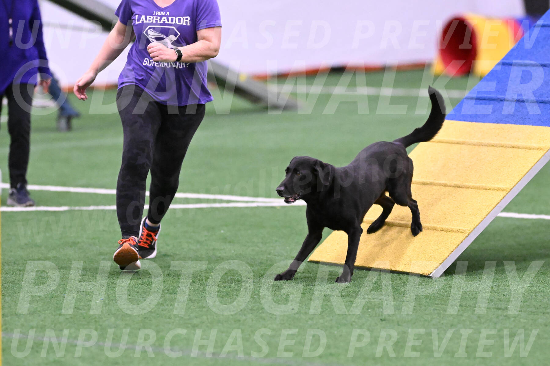 Brooks-Nicole-Paloney-29310