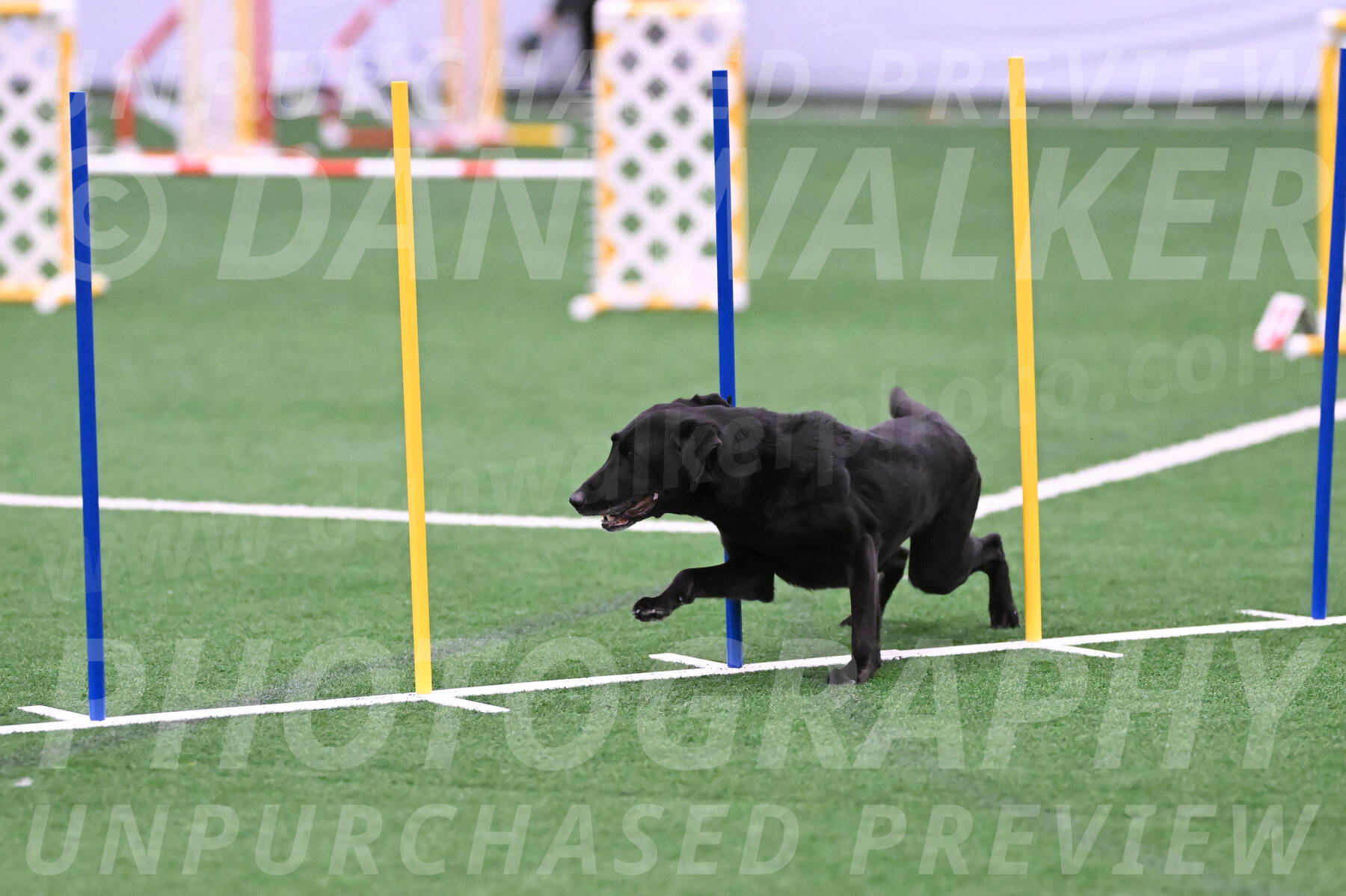 Brooks-Nicole-Paloney-29353