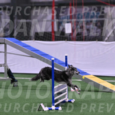 Bruce-Vic-Belebczuk-06857