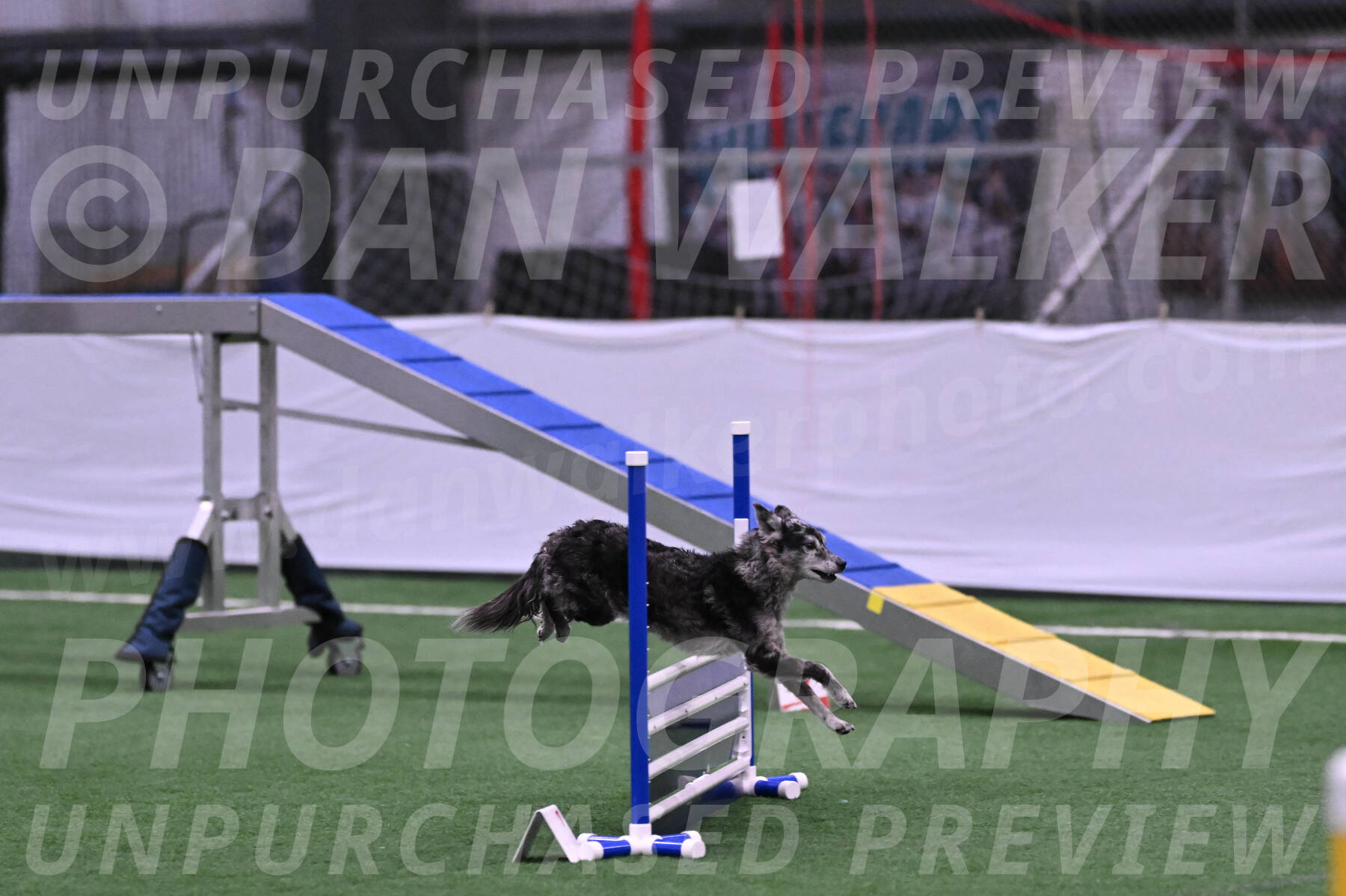 Bruce-Vic-Belebczuk-06857