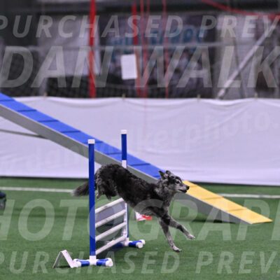 Bruce-Vic-Belebczuk-06858