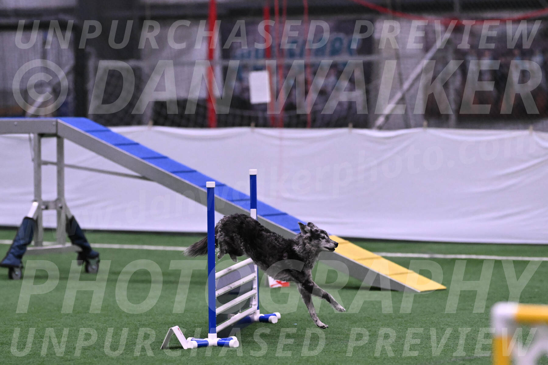 Bruce-Vic-Belebczuk-06858