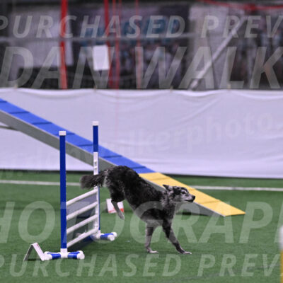 Bruce-Vic-Belebczuk-06859