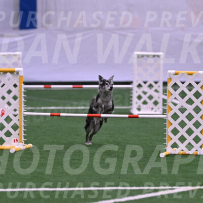 Bruce-Vic-Belebczuk-06869