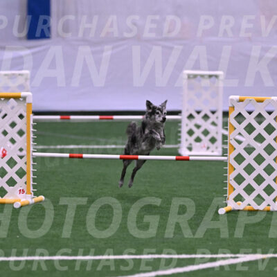 Bruce-Vic-Belebczuk-06870
