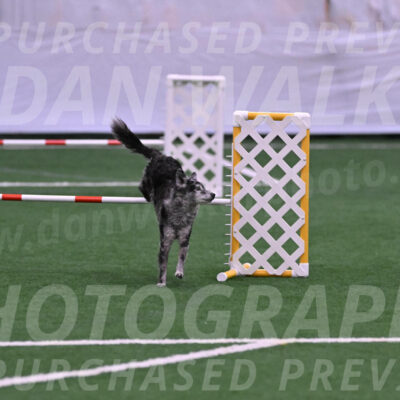 Bruce-Vic-Belebczuk-06874