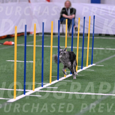 Bruce-Vic-Belebczuk-06882
