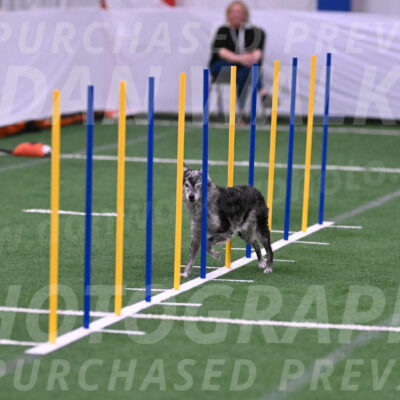 Bruce-Vic-Belebczuk-06883