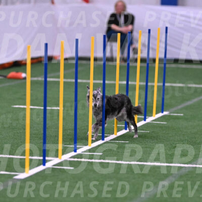 Bruce-Vic-Belebczuk-06884