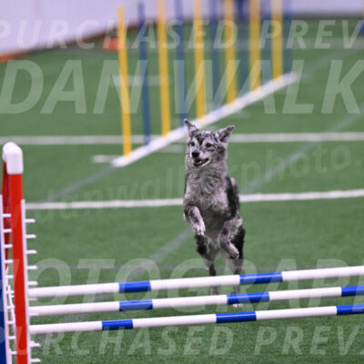 Bruce-Vic-Belebczuk-06903