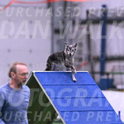 Bruce-Vic-Belebczuk-06913