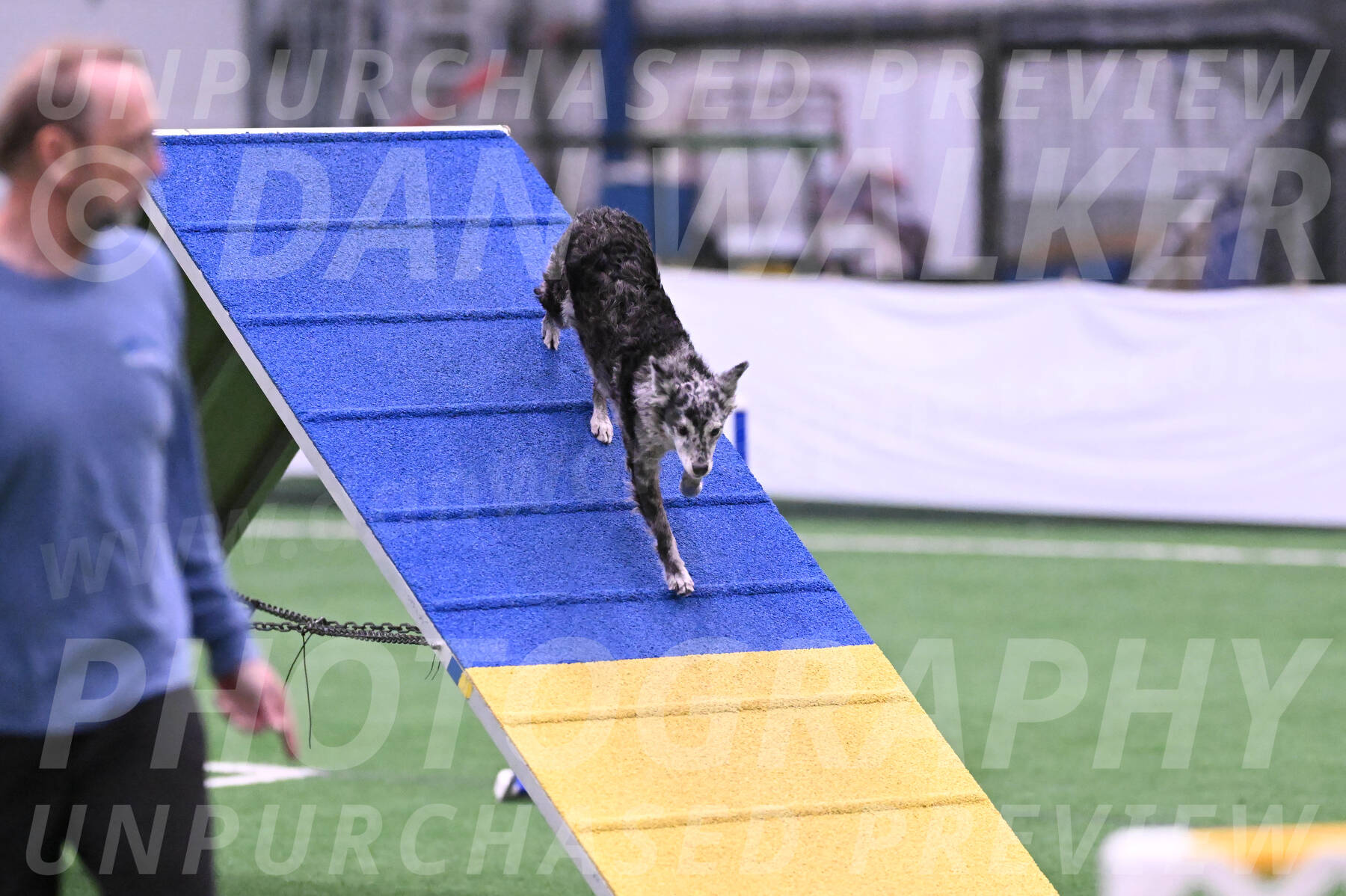 Bruce-Vic-Belebczuk-06914
