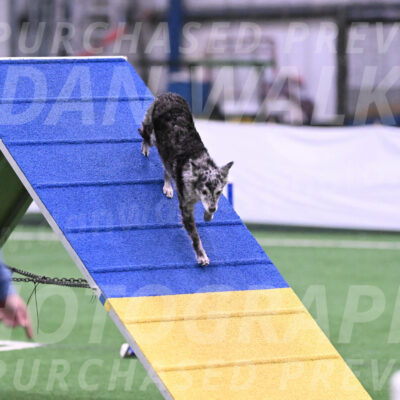 Bruce-Vic-Belebczuk-06914
