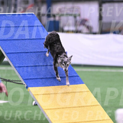 Bruce-Vic-Belebczuk-06915