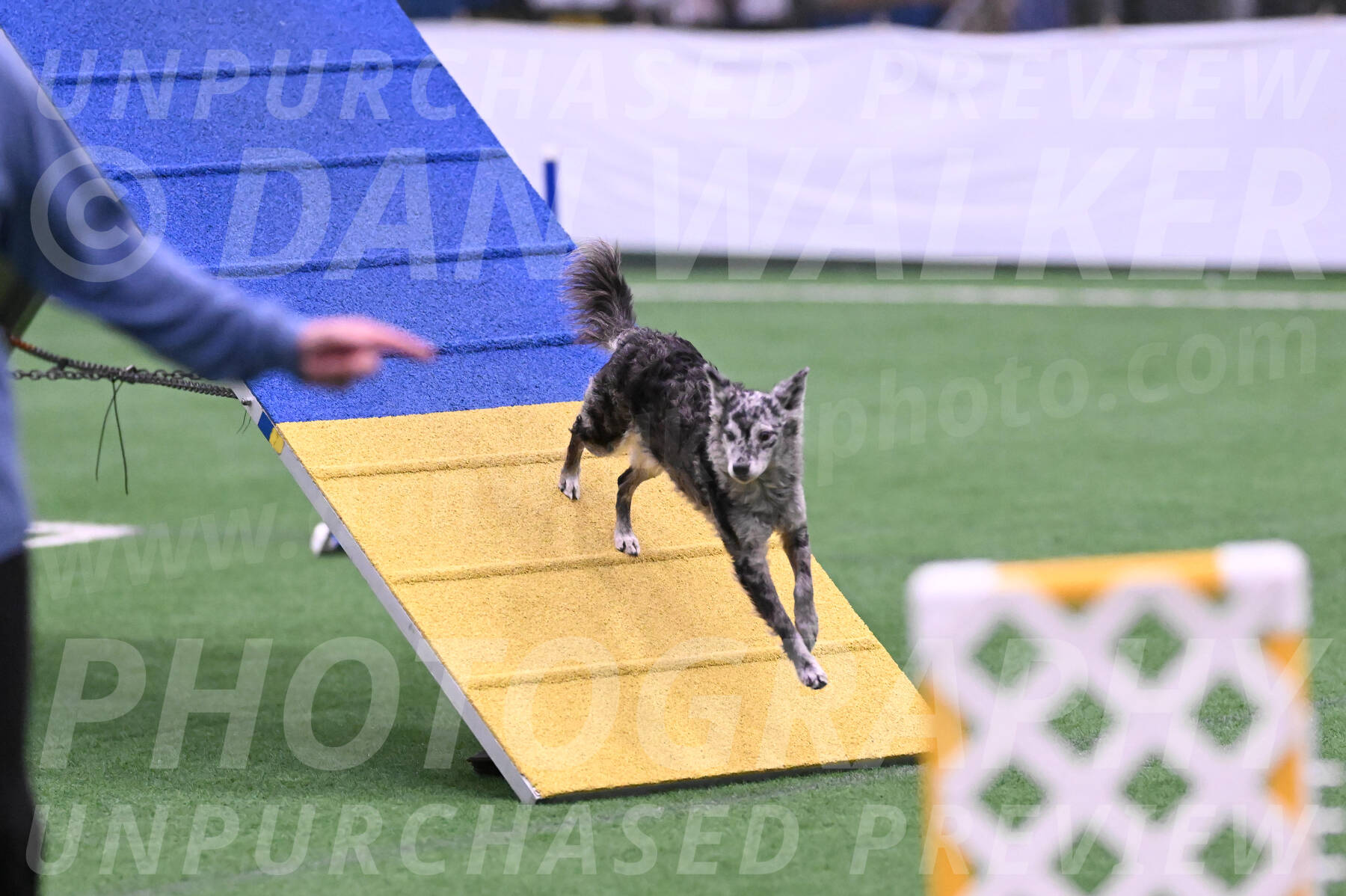 Bruce-Vic-Belebczuk-06918